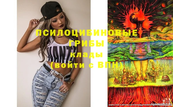 таблы Верея