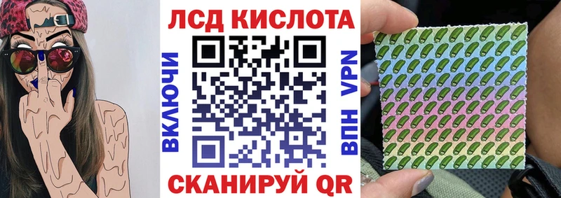 закладка  Городец  Марки N-bome 1,8мг 