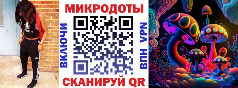 купить закладку  Городец  Галлюциногенные грибы Psilocybine cubensis 