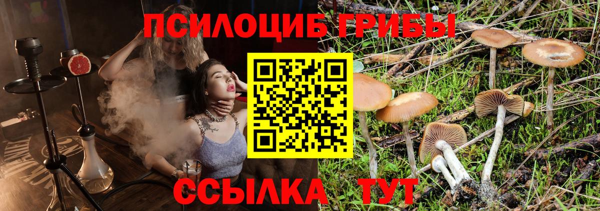 Галлюциногенные грибы мухоморы Городец