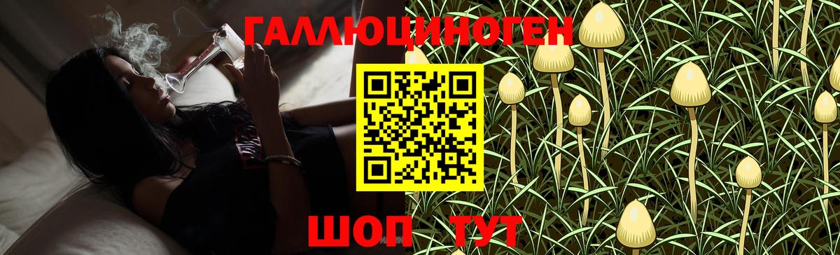 Псилоцибиновые грибы MAGIC MUSHROOMS  Вход с VPN  Городец  Галлюциногенные грибы Psilocybe 