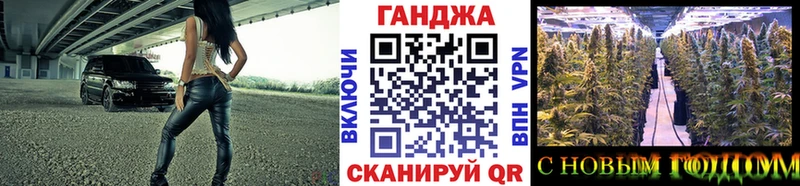 наркотики Городец Каннабис сатива